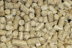 Malting End biomass boiler costs
